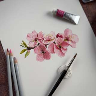 Si tu veux peindre ces fleurs de cerisier 🌸 rendez-vous dans Le Cercle des aquarelles poétiques 
➡️Lien sous ma bio 

Découvre l’aquarelle en douceur avec les tutos et abonne-toi pour une dose d’inspiration 

🌸🖌️🎨
@winsorandnewton